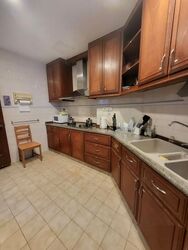 Dover Parkview (D5), Condominium #504295251